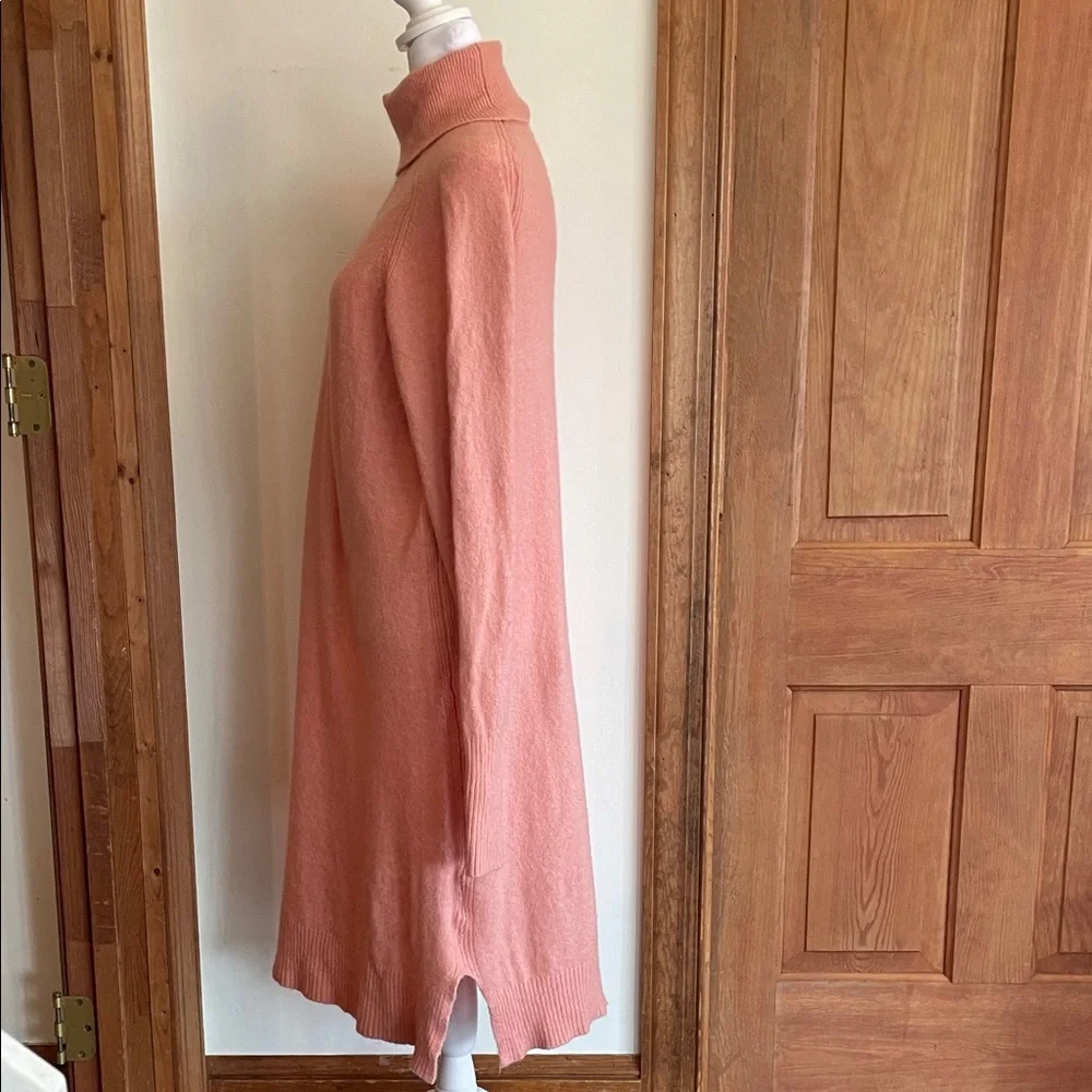 J. Crew chic turtleneck